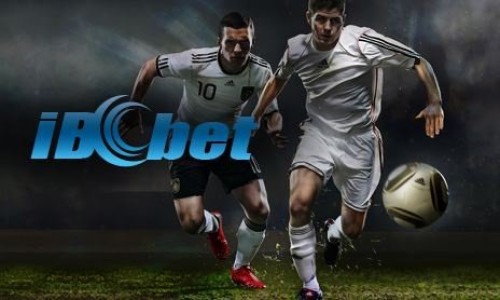 Solusi Lupa Password Saat Ibcbet Login dan Cara Mengatasinya